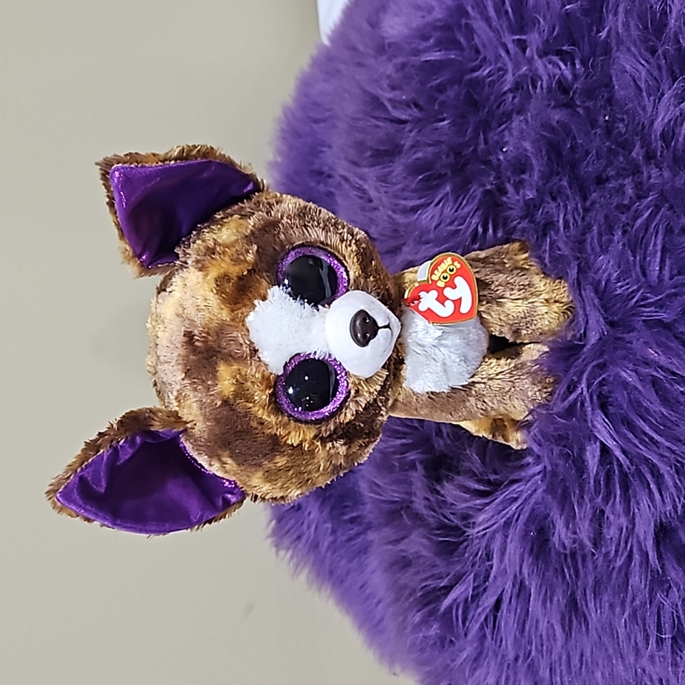 TY, Dexter, The Beanie Boo Collection